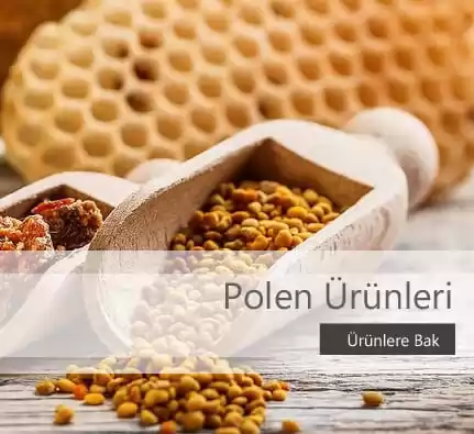 Polen Ürünleri